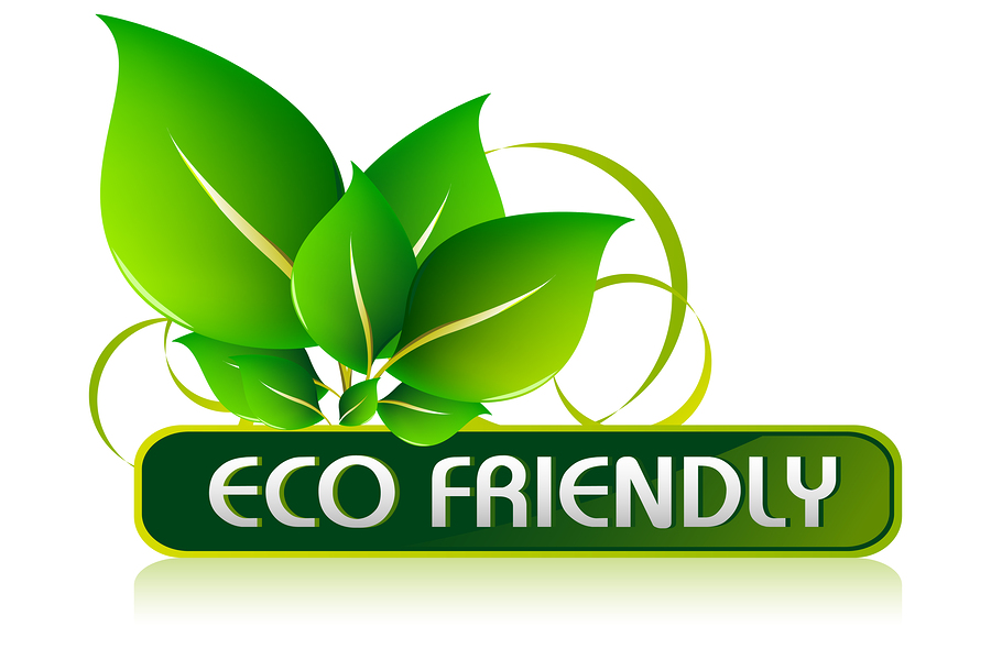 Eco Friendly Dental Office in Fremont